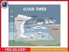 Listing image for NEW (LAMINATED) CLOUD TYPE (61X91CM) EDUCATIONAL CHART PICTURE PRINT